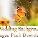 180+ Wedding Background HD