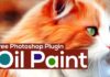 Oil Paint Plugin For Photoshop