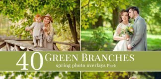 Green Branches Spring Photo Overlays