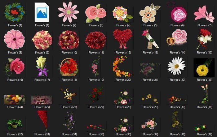 Flower's PNG Files Collection
