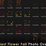45+ Best Flower Fall Photo Overlays