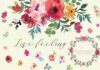Live Feeling Floral Elements, Wreaths, Frames, And Cards Pack