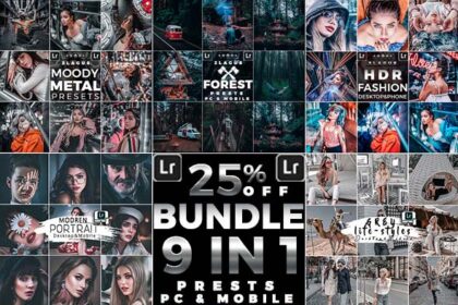Artistic Collection Bundle Presets (Mobile & Desktop)