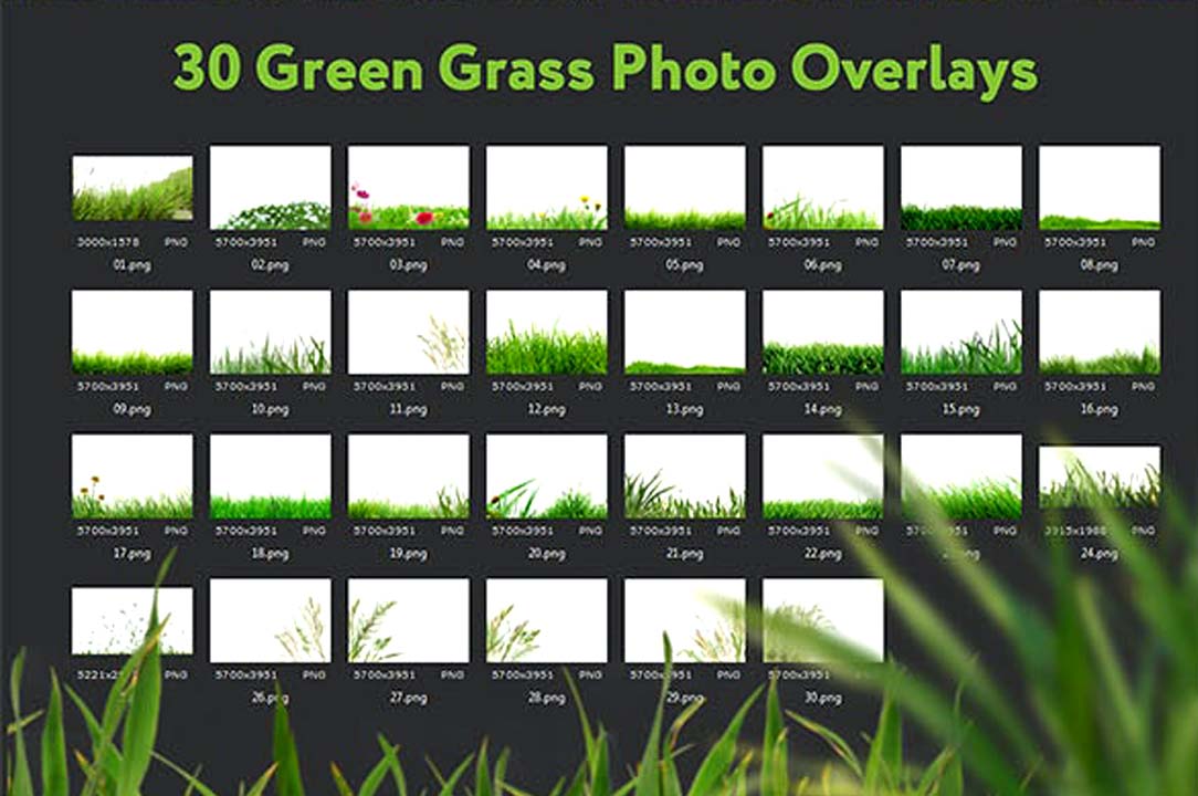 30 Green Grass PNG Photo Overlays