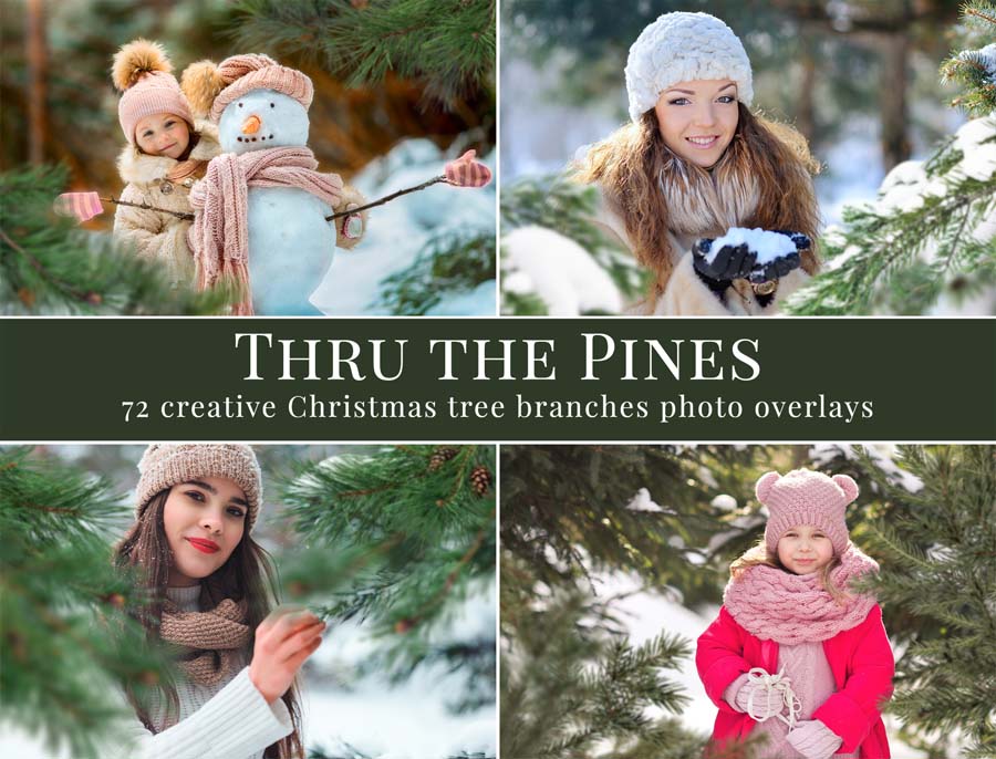 70+ Thru the Pines Photo Overlays Pack