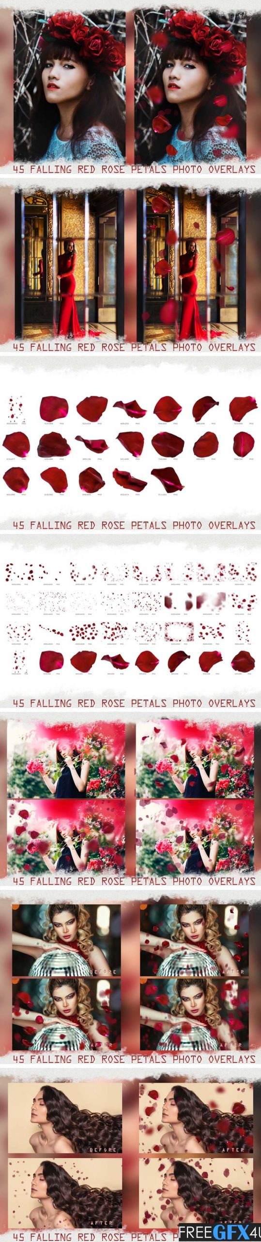 45 Falling Rose Petals Photo Overlays