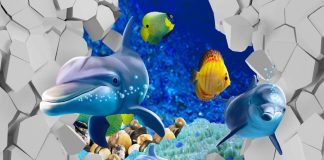3D Dolphins Fish PSD Wall Background