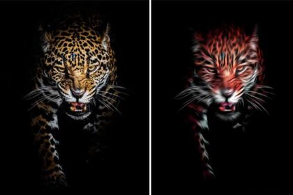 Paint-Effect-Photoshop-Action