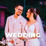 Wedding Pack Video LUTs Vol-10