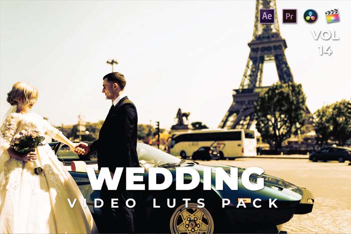 Wedding Pack Video LUTs Vol-14