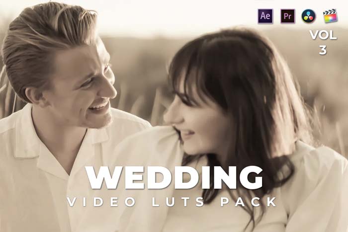 Free Download Wedding Pack Video LUTs Vol.3