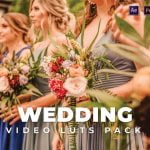 Wedding Pack Video LUTs Vol-6