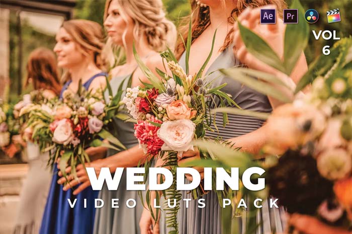 Wedding Pack Video LUTs Vol-6