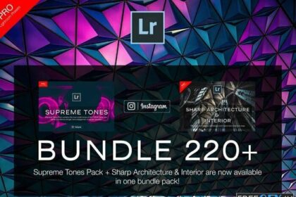 Bundle 220+ Lightroom Presets