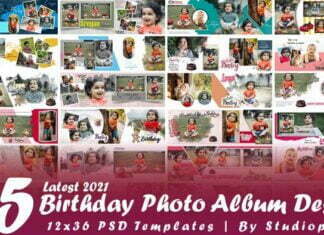Latest 2021 Birthday Photo Album Design 12x36 PSD Templates