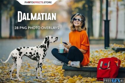 Free Download 28 Dalmatian Photo Overlays