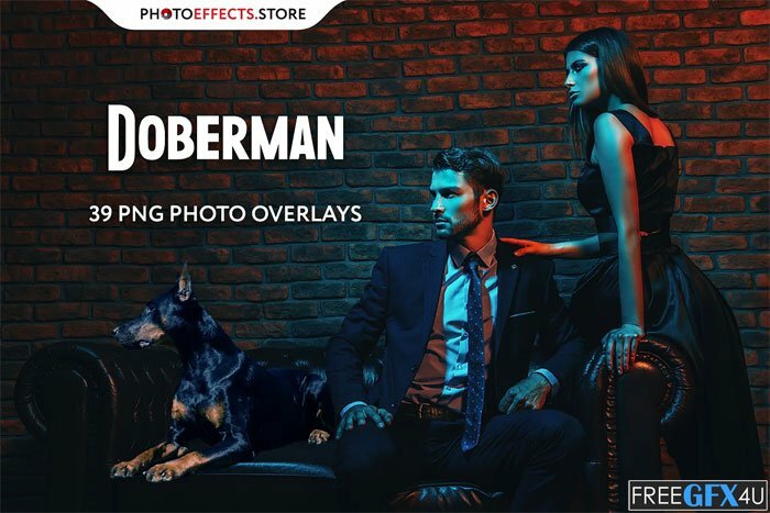 39 Doberman Photo Overlays