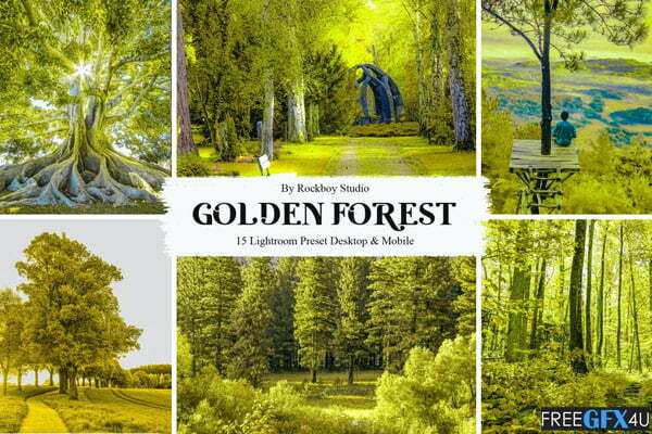 15 Golden Forest Lightroom Presets