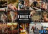 Forest Mood - Photoshop Action & Lightroom Presets