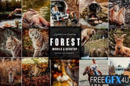 Forest Mood - Photoshop Action & Lightroom Presets