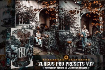 PRO Presets V17 Photoshop And Lightroom