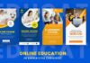 Videohive - Online Education Instagram Story