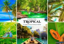 15 Tropical Lightroom Presets Free Download
