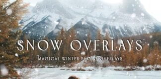 30 Natural Falling Snow Overlays
