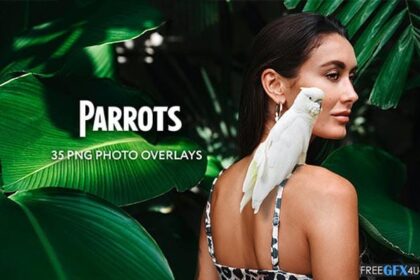 Creativemarket - 35 Parrots Photo Overlays