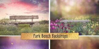Creativemarket - Park Bench Backdrops Free Download