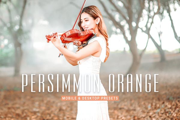 Persimmon Orange Pro Presets