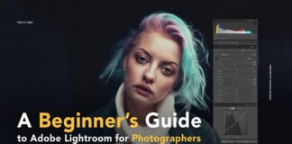 A Beginners Guide To Lightroom
