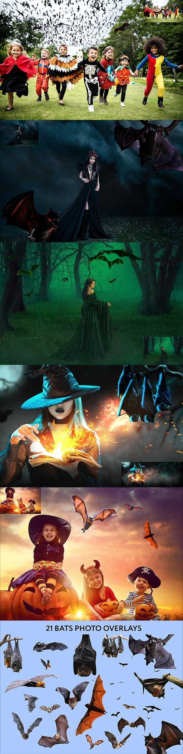 Graphicriver - 20 Bat Photo Overlays Free Download 20 Bat Photo Overlays