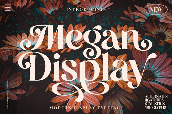 Megan Display Font
