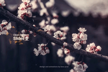 Clean Modern Slides 3