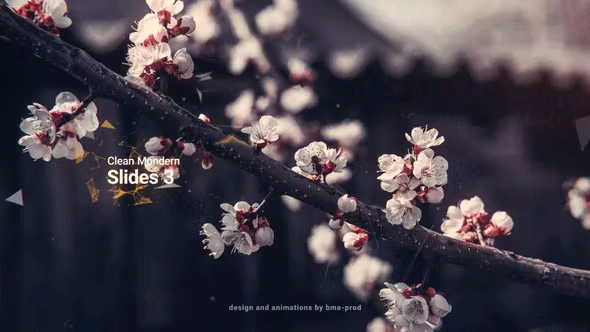 Videohive - Clean Modern Slides 3 Clean Modern Slides 3