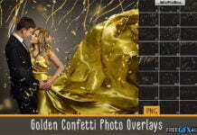 Golden Confetti Photo Overlays