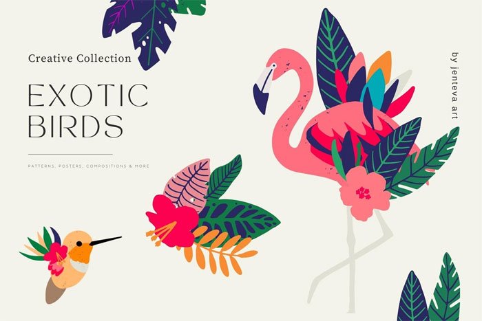 Exotic Birds Collection