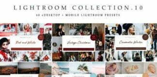 Lightroom Collection vol.10