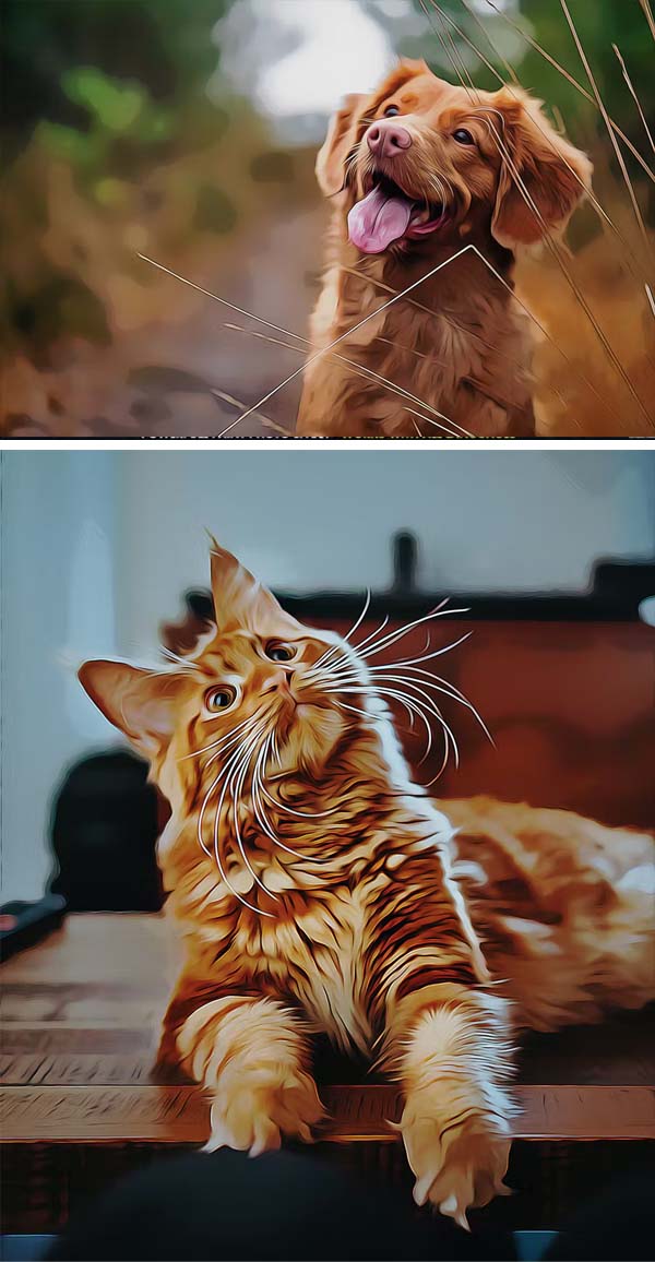 Pets Paint Photoshop Effects