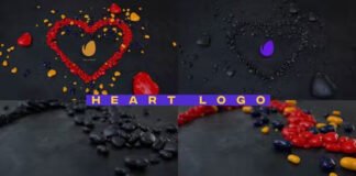 Videohive - Heart Logo