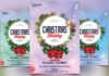 CreativeMarket - Christmas Holiday Flyer PSD Template