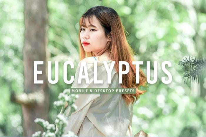Eucalyptus Mobile & Desktop Lightroom Presets Eucalyptus Lightroom Presets