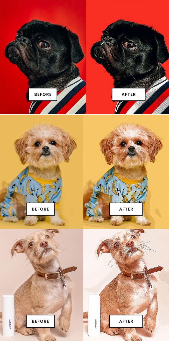 Action With Cartoon Effect Photoshop Plugin Action With Cartoon Effect Plugin