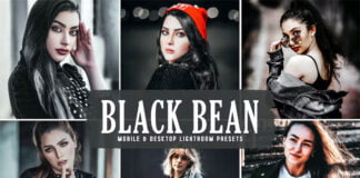 Black Bean Mobile & Desktop Presets