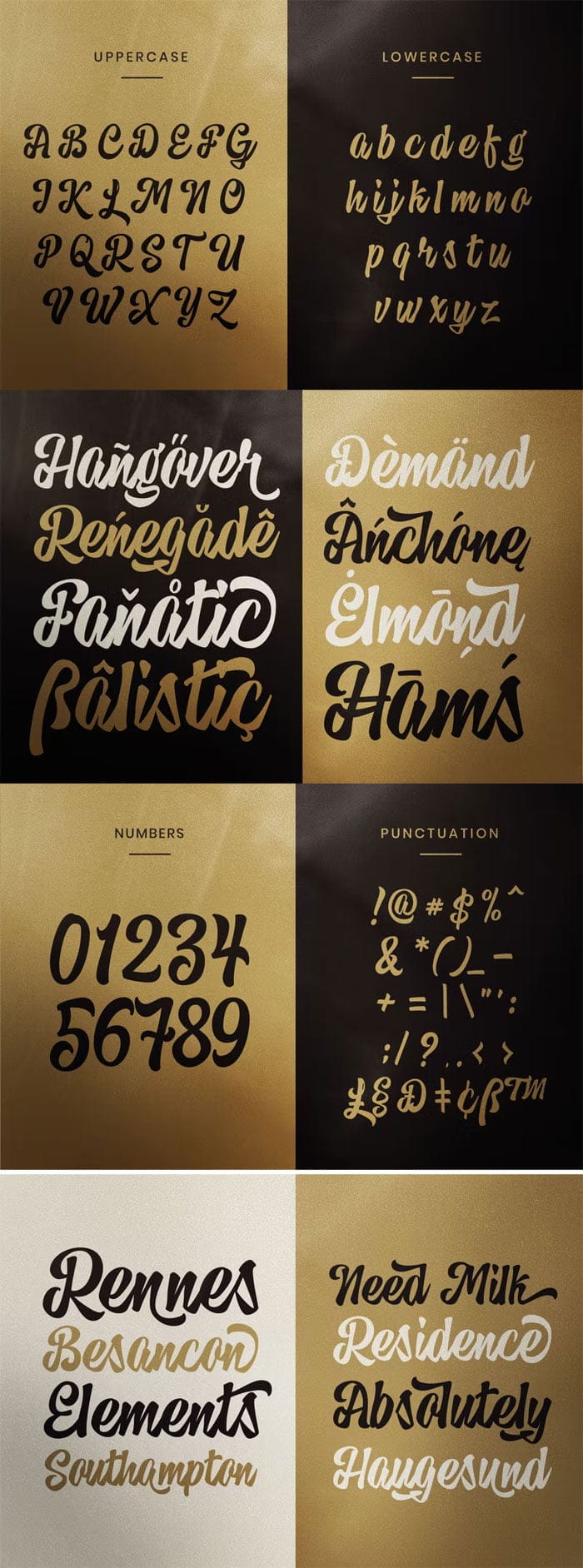 CreativeMarket - Hedgehog Bold Script Logo Font Hedgehog Bold Script Logo Font