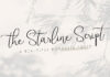 CreativeMarket - Starline Beautiful Script Fonts