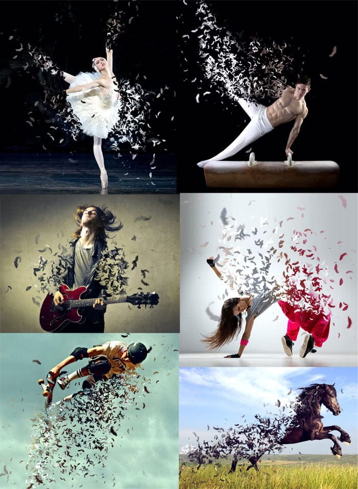 Feathers Photoshop Action Free Download Feathers Photoshop Action