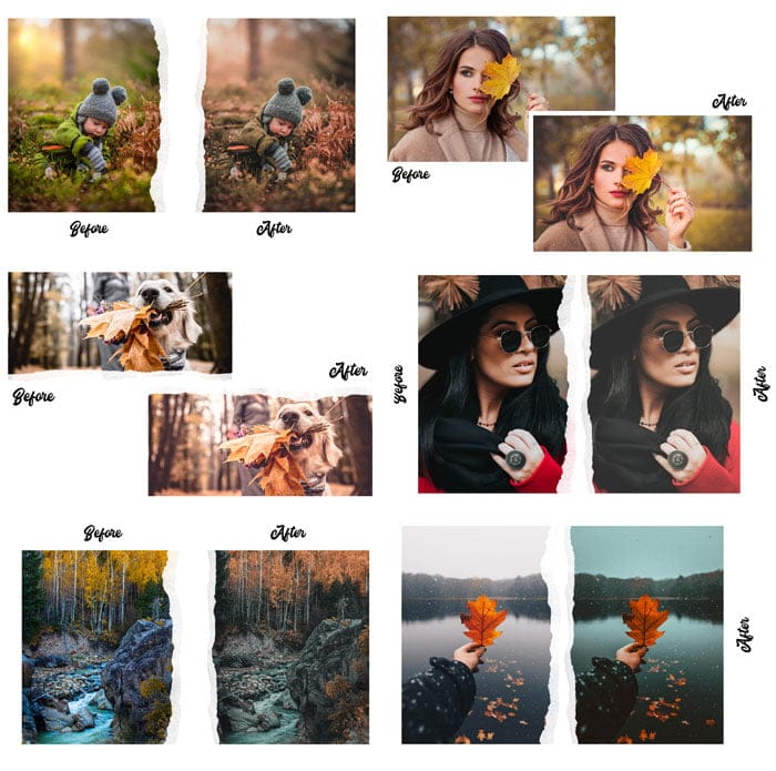 Autumn 15 Premium Lightroom Presets Autumn 15 Premium Lightroom Presets