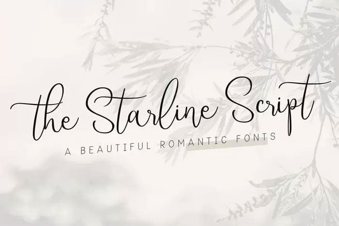 Starline Beautiful Script Fonts Free Download Starline Beautiful Script Fonts